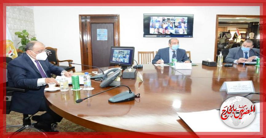 المصريين بالخارج