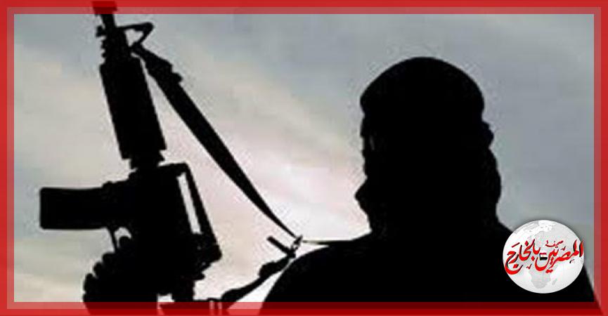 المصريين بالخارج