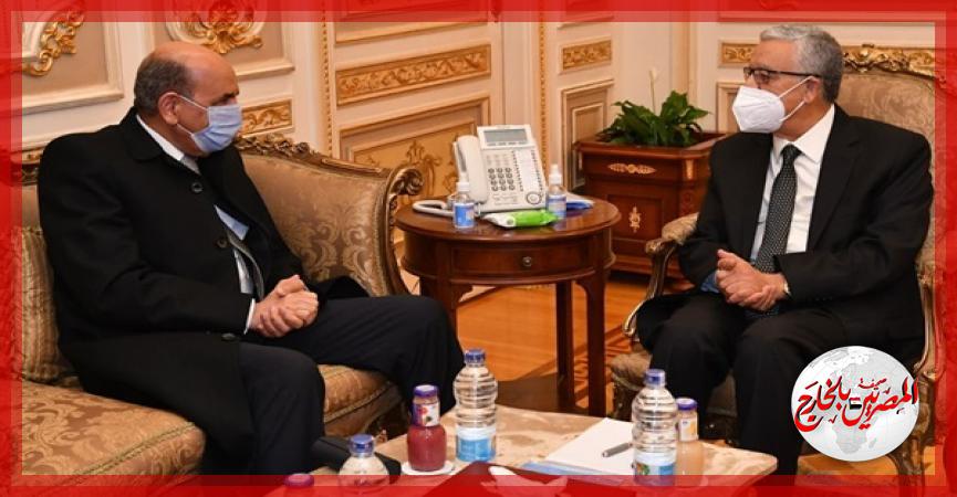 المصريين بالخارج