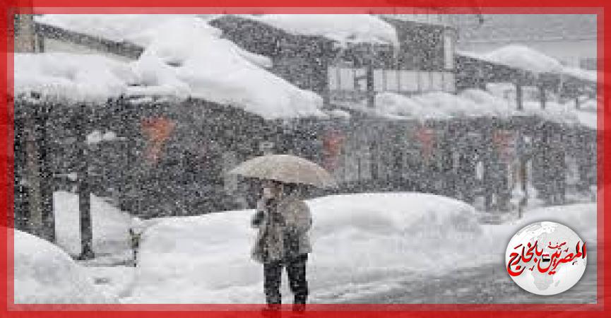 المصريين بالخارج