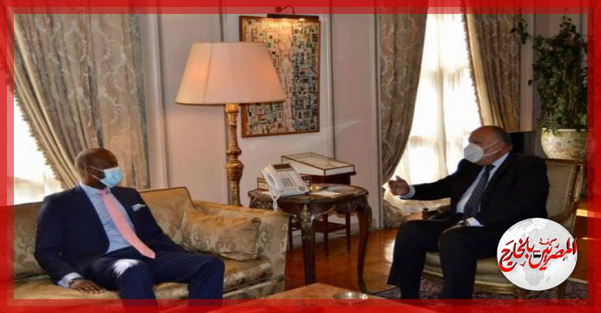 المصريين بالخارج