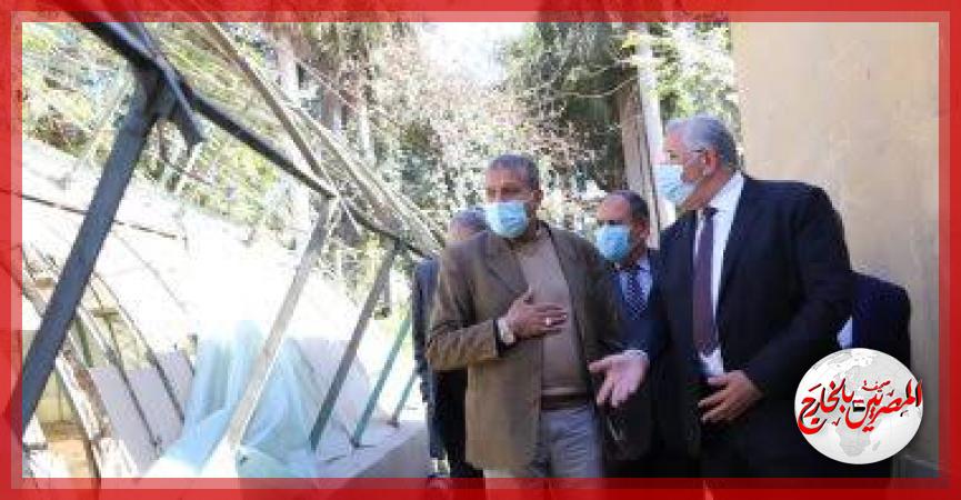 المصريين بالخارج