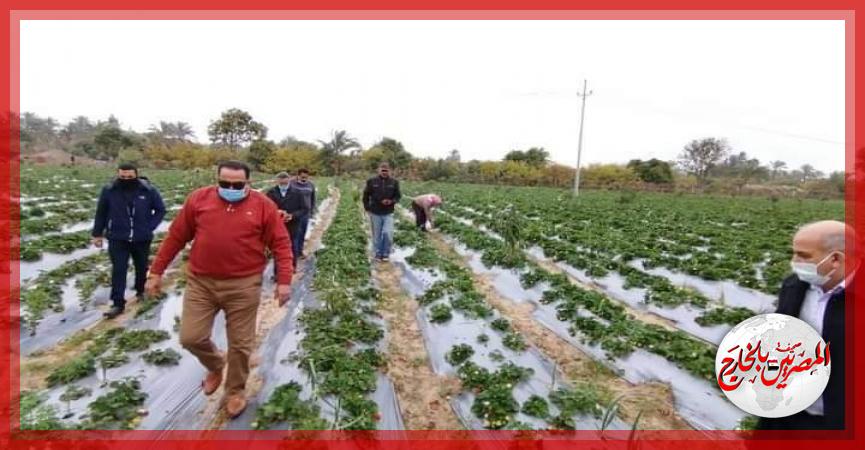 المصريين بالخارج