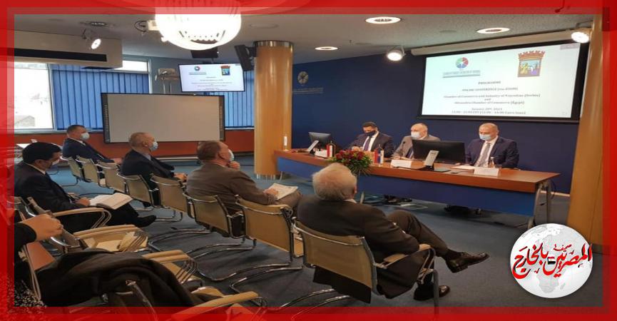 المصريين بالخارج