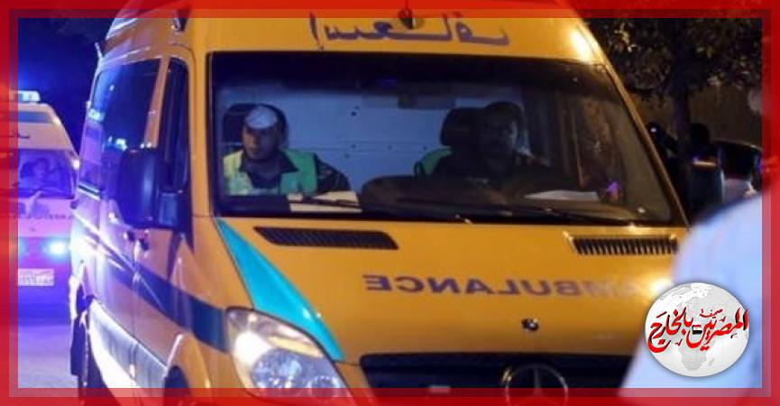 المصريين بالخارج