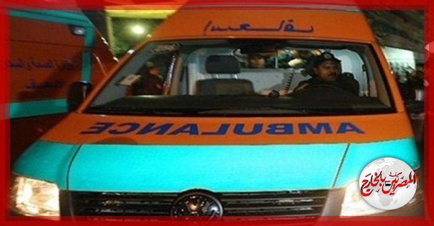 المصريين بالخارج