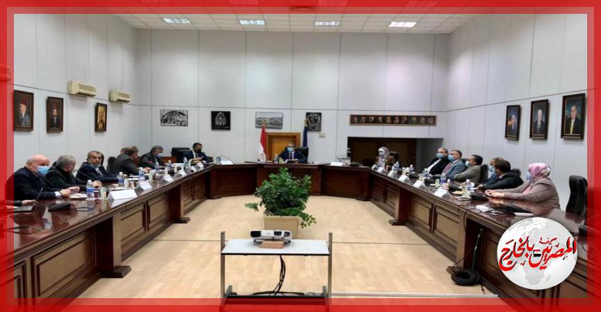 المصريين بالخارج