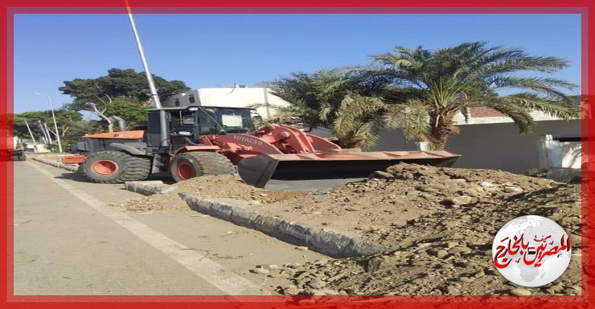 المصريين بالخارج