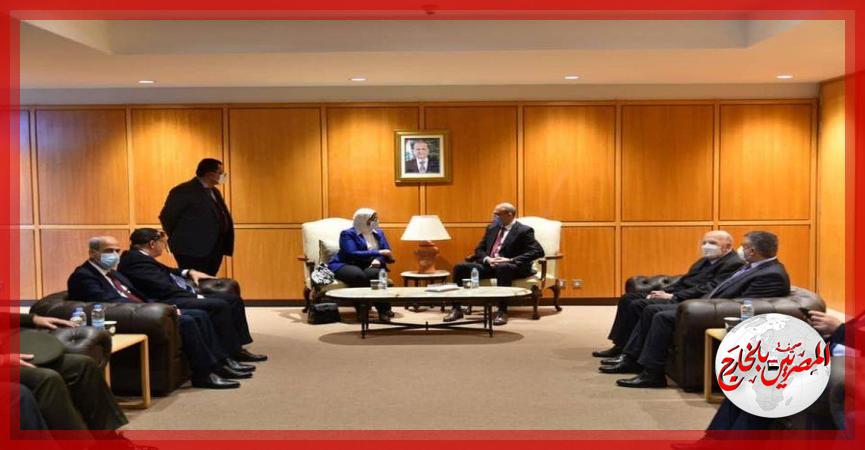 المصريين بالخارج