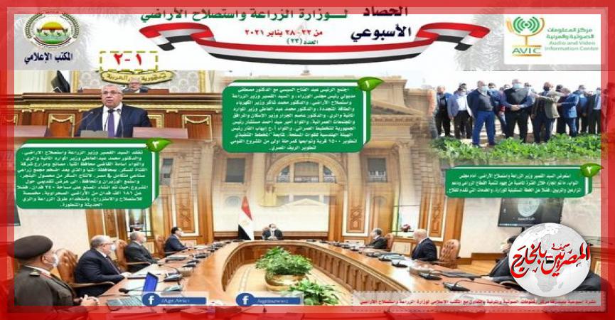 المصريين بالخارج