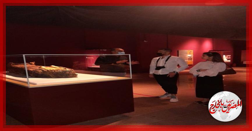 المصريين بالخارج