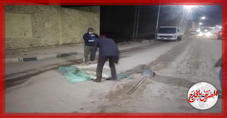 المصريين بالخارج