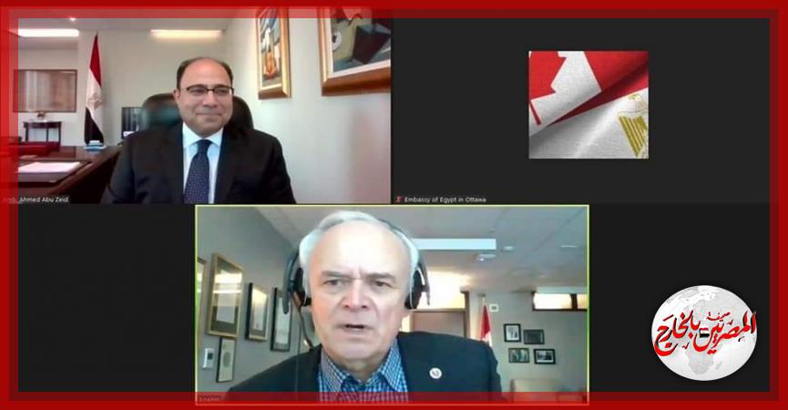 المصريين بالخارج