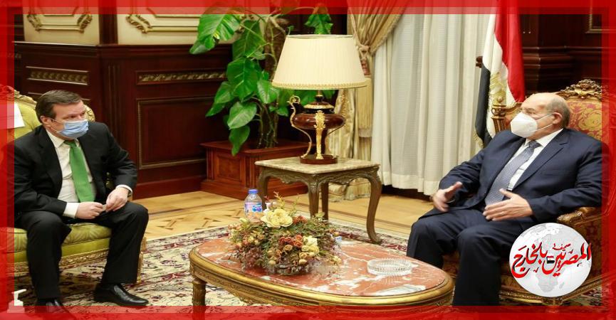 المصريين بالخارج