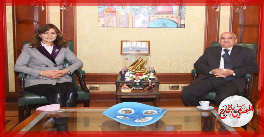 المصريين بالخارج