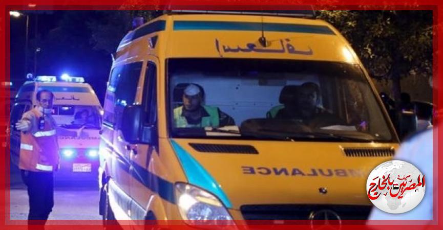 المصريين بالخارج