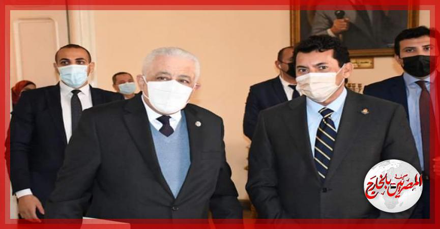 المصريين بالخارج