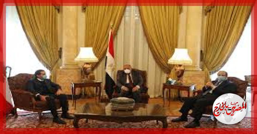 المصريين بالخارج