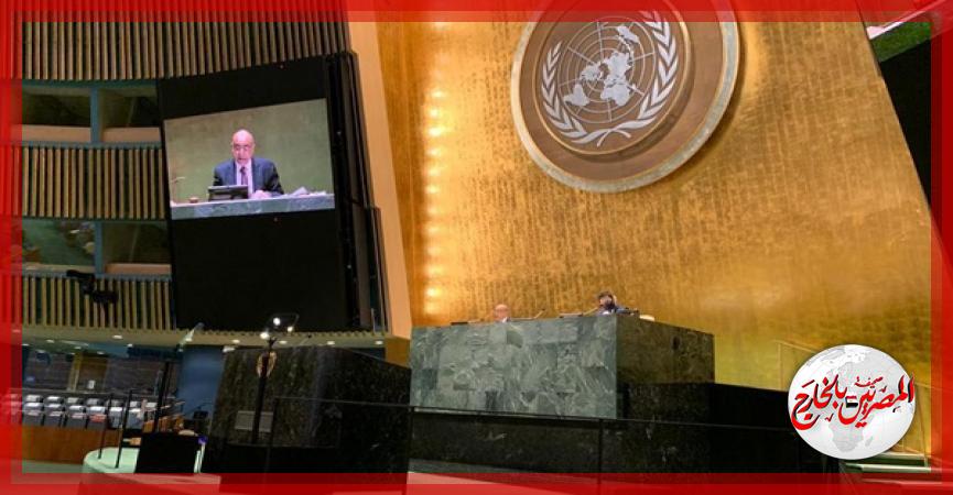 المصريين بالخارج