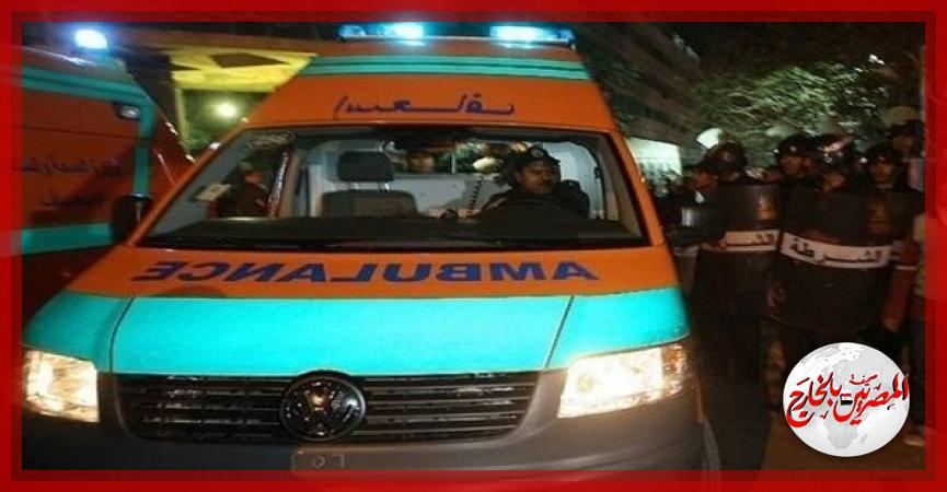 المصريين بالخارج