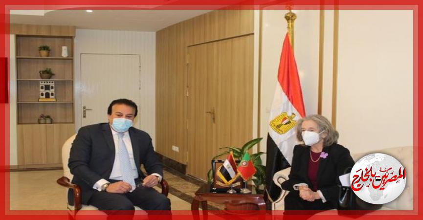 المصريين بالخارج