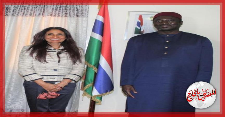 المصريين بالخارج