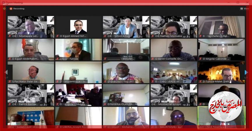 المصريين بالخارج