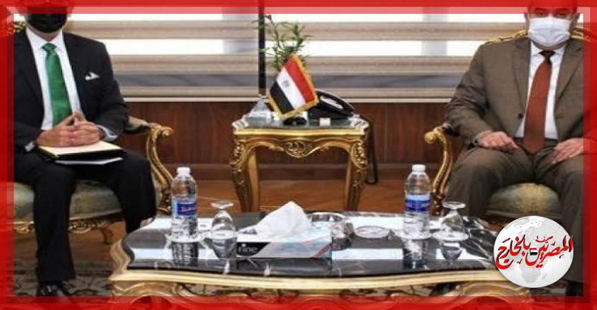 المصريين بالخارج