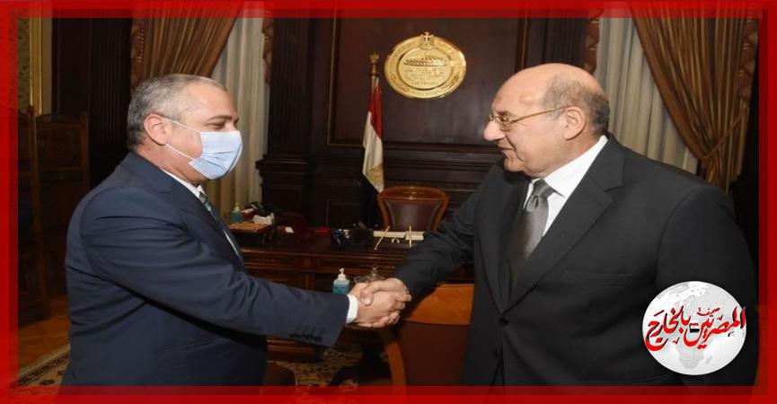 المصريين بالخارج