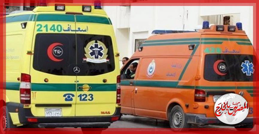 المصريين بالخارج