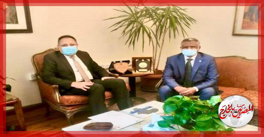 المصريين بالخارج