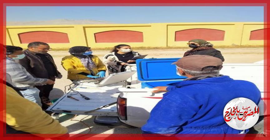 المصريين بالخارج