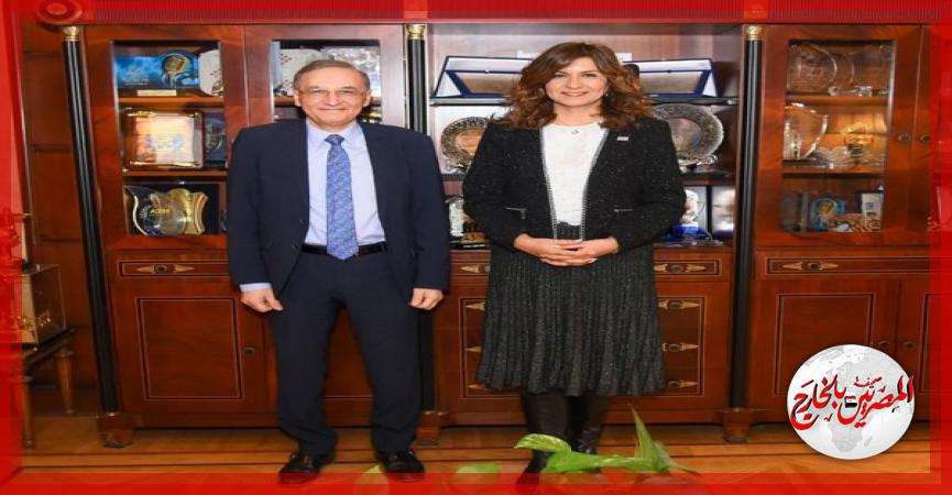 المصريين بالخارج