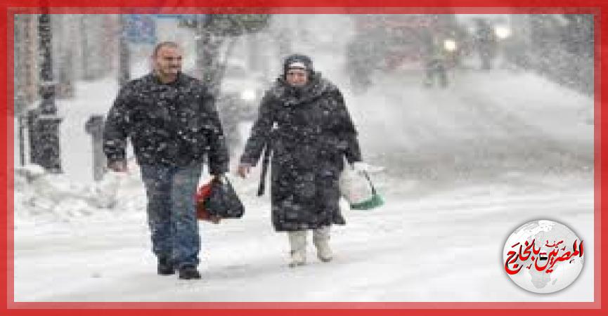 المصريين بالخارج