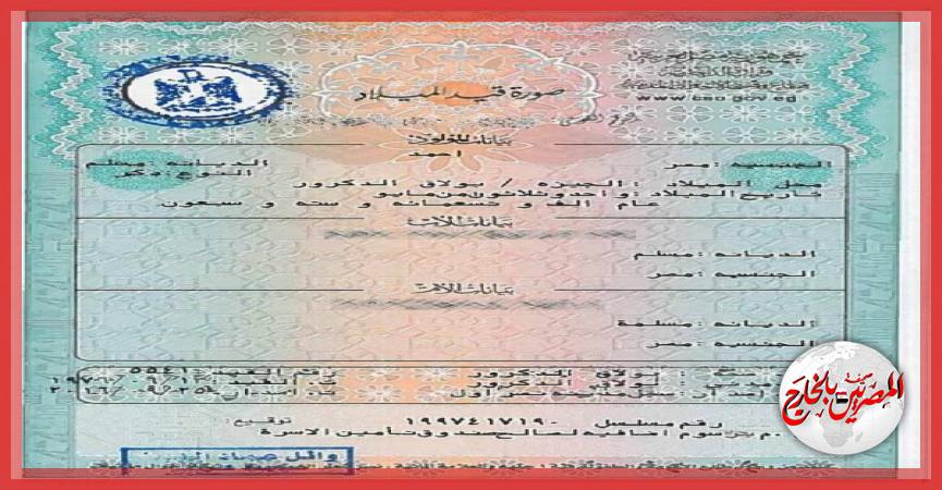 المصريين بالخارج