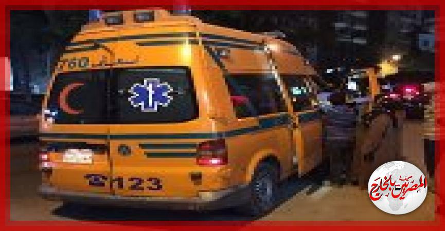 المصريين بالخارج