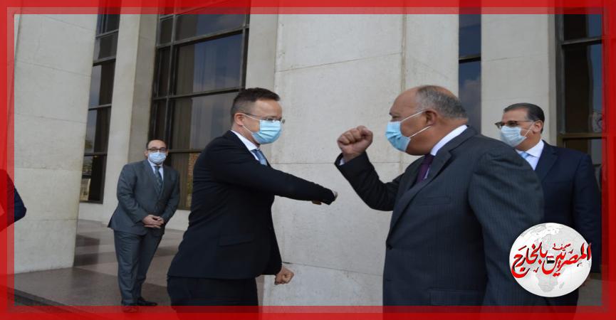 المصريين بالخارج