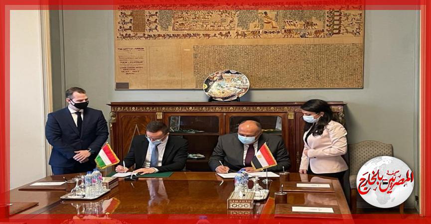 المصريين بالخارج