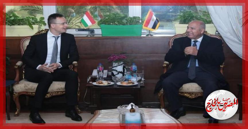 المصريين بالخارج