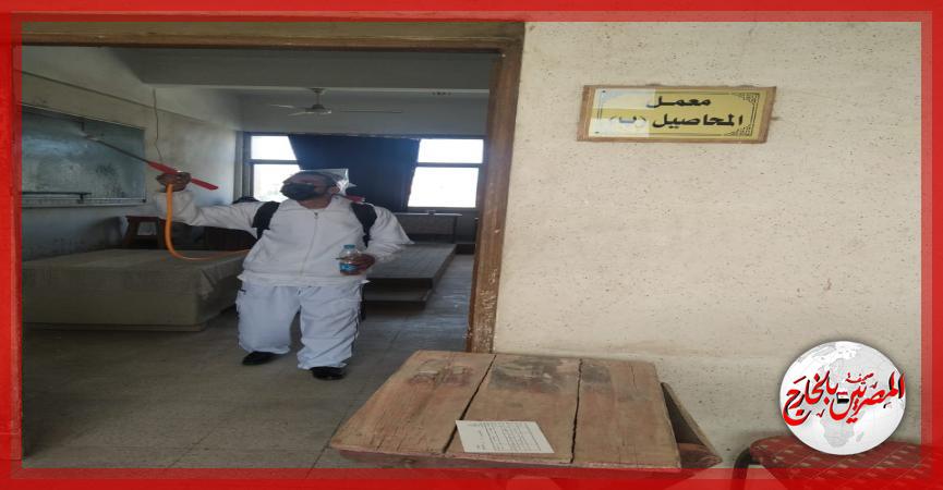 المصريين بالخارج