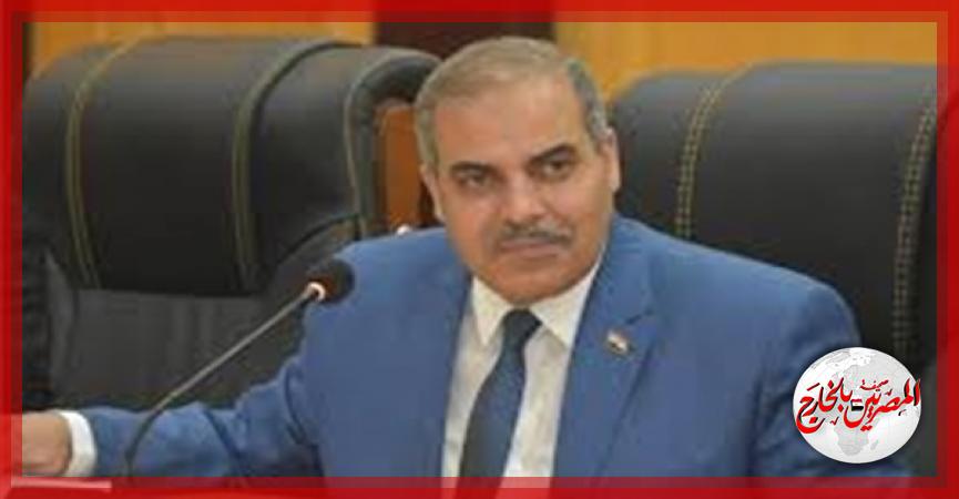 المصريين بالخارج