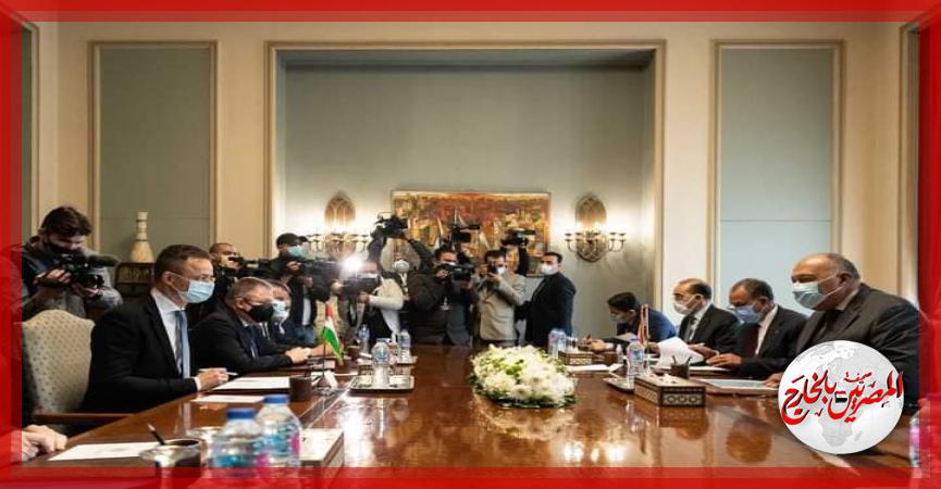 المصريين بالخارج