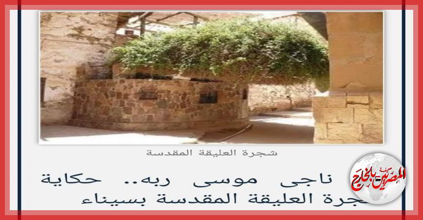 المصريين بالخارج