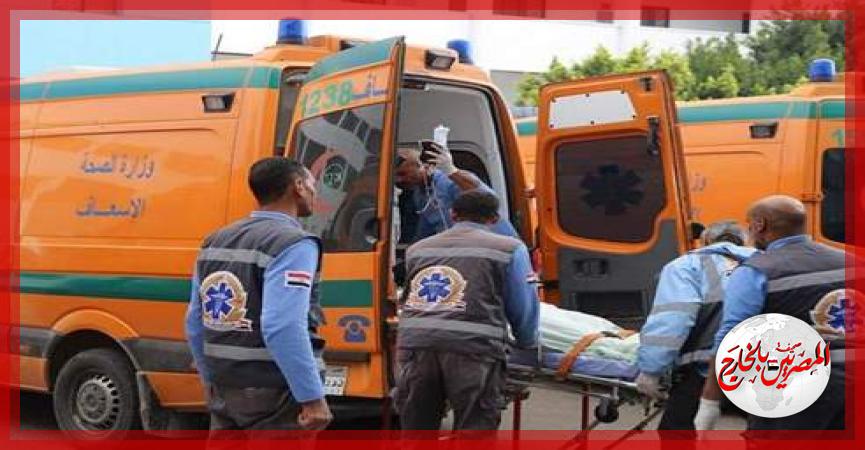 المصريين بالخارج