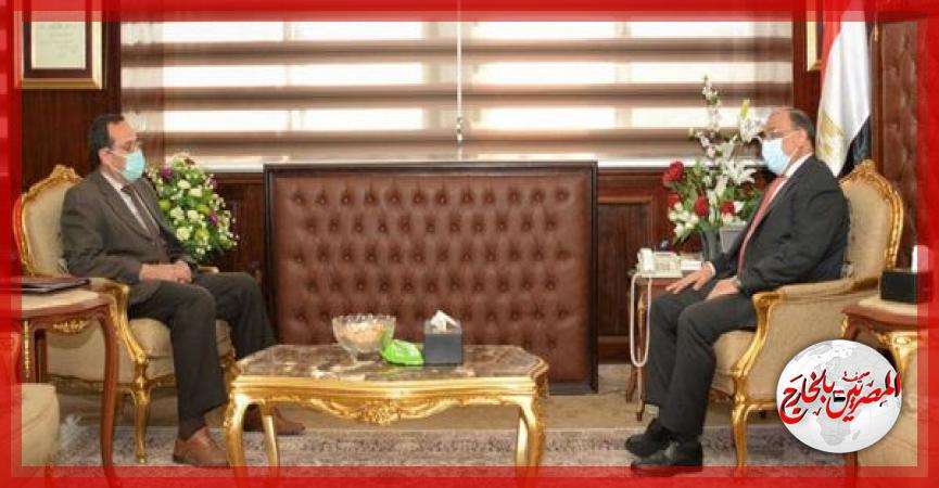 المصريين بالخارج