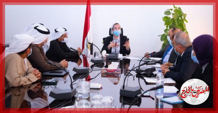 المصريين بالخارج