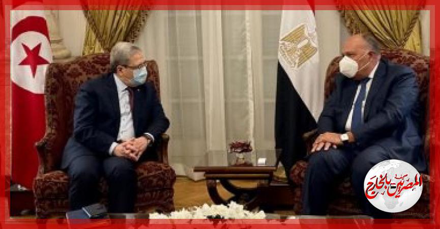 المصريين بالخارج