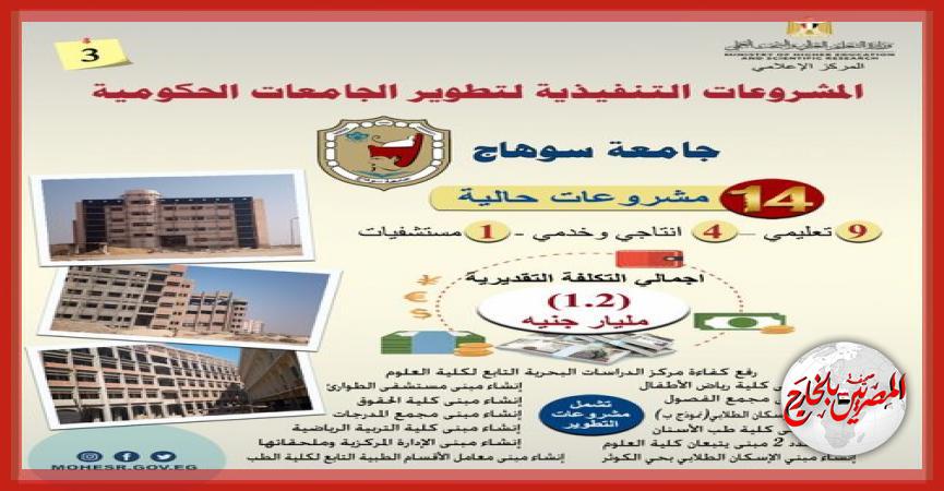 المصريين بالخارج