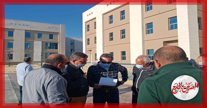 المصريين بالخارج