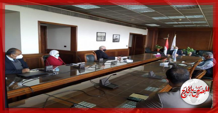 المصريين بالخارج